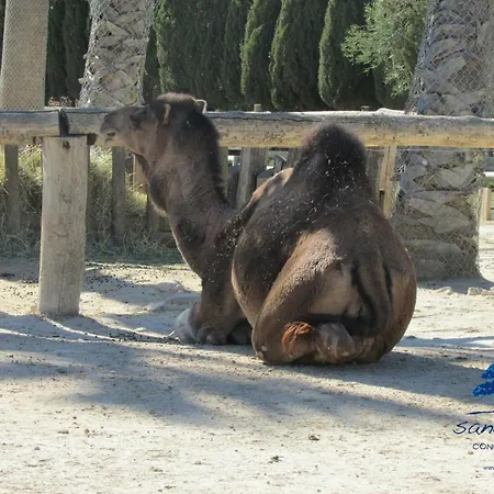 Mobilhome Sansouci Ou Il Fait Bon De Passer Des En Famille *